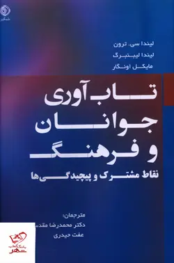 خرید کتاب تاب آوری جوانان و فرهنگ نقاط مشترک و پیچیدگی ها