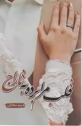 خرید کتاب قلب مرا برده به تاراج اثر شبنم سعادتی نشر شقایق