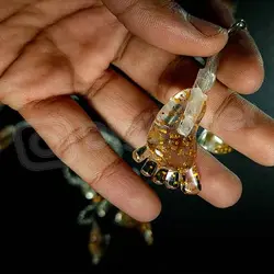 ریسه ی پای کودک
