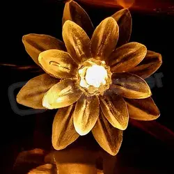 ریسه گل نیلوفر