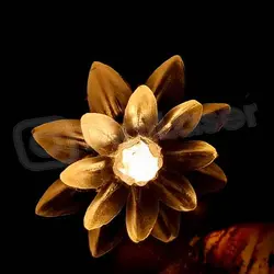 ریسه گل نیلوفر