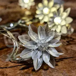 ریسه گل نیلوفر