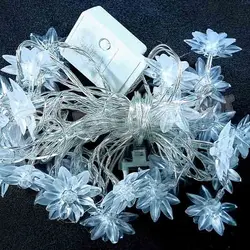 ریسه گل نیلوفر