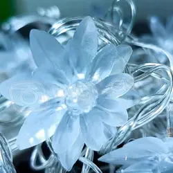 ریسه گل نیلوفر