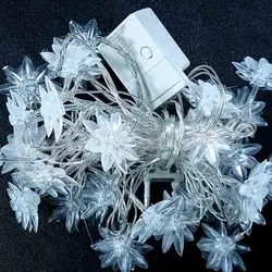 ریسه گل نیلوفر