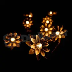 ریسه گل نیلوفر