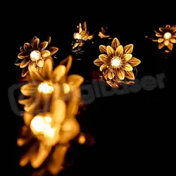 ریسه گل نیلوفر