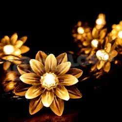 ریسه گل نیلوفر