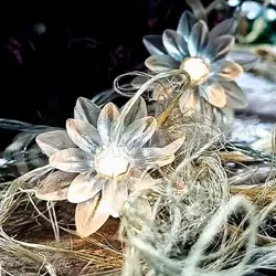 ریسه گل نیلوفر