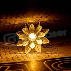 ریسه گل نیلوفر