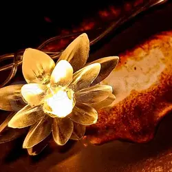 ریسه گل نیلوفر