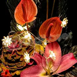 ریسه گل نیلوفر