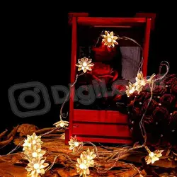 ریسه گل نیلوفر