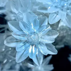 ریسه گل نیلوفر