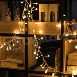 ریسه سوزنی ال ای دی 25 متری - دیجی لیزر