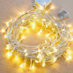 ریسه سوزنی ال ای دی 25 متری - دیجی لیزر