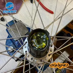 دوچرخه جاینت ۲۰۱۷ Giant Snap