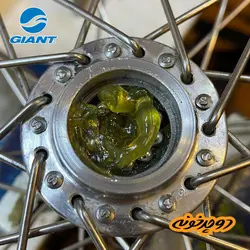 دوچرخه جاینت ۲۰۱۷ Giant Snap