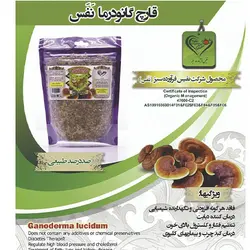 قارچ گانودرما نفس