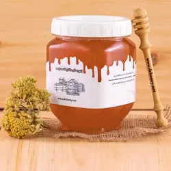 خرید عسل آویشن درجه یک-دکتر هانی راد