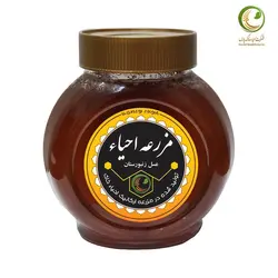 عسل کوهستان