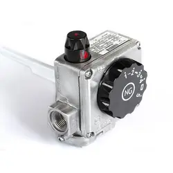 شیر کنترل آبگرمکن مخزنی مدل NG7302 تولید شیرگاز پاسارگاد (نگهبان گاز)