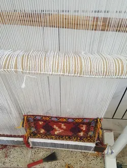 تی یر(کیف- نمکدان )
