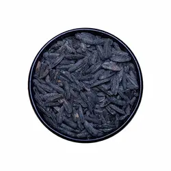 تخمه آفتابگردون شمشیری