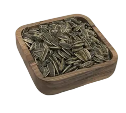 تخمه دور سفید پیازجعفری