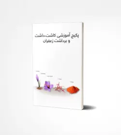 پکیج آموزشی کاشت،داشت و برداشت زعفران