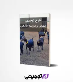 طرح توجیهی پرورش بز مورسیا ۱۵۰ راس (آپدیت بهار ۱۴۰۱)