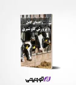 راهنمای کامل پرورش گاو شیری