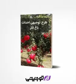 طرح توجیهی احداث باغ انار ۱۰ هکتاری (آپدیت بهار ۱۴۰۱)