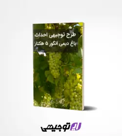 طرح توجیهی احداث باغ دیمی انگور ۵ هکتار (آپدیت بهار ۱۴۰۱)