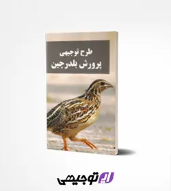 طرح توجیهی پرورش بلدرچین تخمگذار (آپدیت بهار ۱۴۰۱)