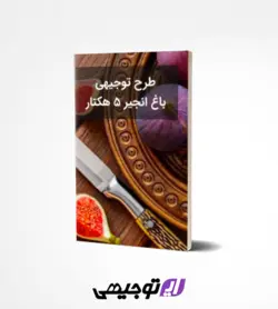 طرح توجیهی باغ انجیر ۵ هکتار (آپدیت بهار ۱۴۰۱)