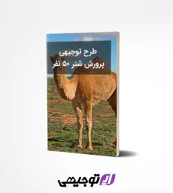 طرح توجیهی پرورش شتر ۵۰ نفر (آپدیت بهار ۱۴۰۱)