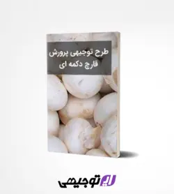 طرح توجیهی پرورش قارچ (آپدیت تابستان ۱۴۰۱)