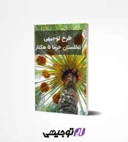 طرح توجیهی نخلستان خرما ۵ هکتار (آپدیت بهار ۱۴۰۱)