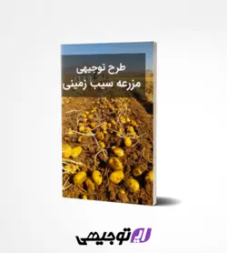 طرح توجیهی مزرعه سیب زمینی ۵ هکتار (آپدیت بهار ۱۴۰۱)