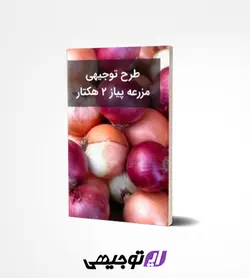 طرح توجیهی مزرعه پیاز ۲ هکتار (آپدیت بهار ۱۴۰۱)