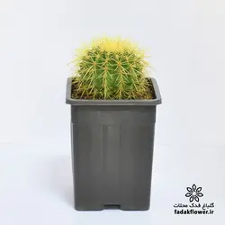 اچینو مربع سطل3