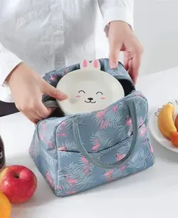 ساک نگه دارنده ی غذای با کلی طرحای خفن