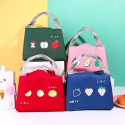 ساک نگه دارنده ی غذای میوه ای