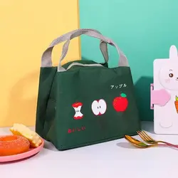 ساک نگه دارنده ی غذای میوه ای