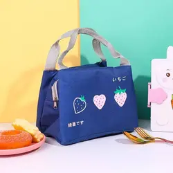 ساک نگه دارنده ی غذای میوه ای