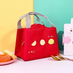 ساک نگه دارنده ی غذای میوه ای