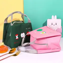 ساک نگه دارنده ی غذای میوه ای