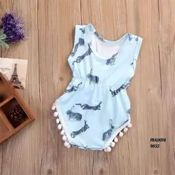 بادی آبی خرگوشی