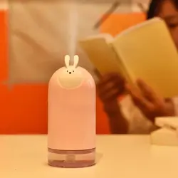 بخور خرس و خرگوش
